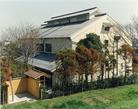 観光・文化情報（別ウィンドウで開く）