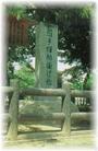 観光・文化情報（別ウィンドウで開く）