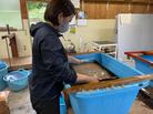 ふるさと宝物写真-遠野（別ウィンドウで開く）