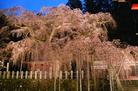 ふるさと宝物写真-小川（別ウィンドウで開く）