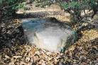 ふるさと宝物写真-好間（別ウィンドウで開く）