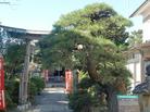 ふるさと宝物写真-久之浜大久（別ウィンドウで開く）