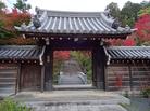 観光情報（別ウィンドウで開く）
