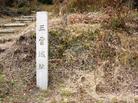 観光情報（別ウィンドウで開く）