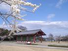 歳時記（イベント）（別ウィンドウで開く）