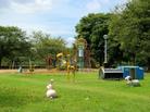 公園一覧（公開用）（別ウィンドウで開く）